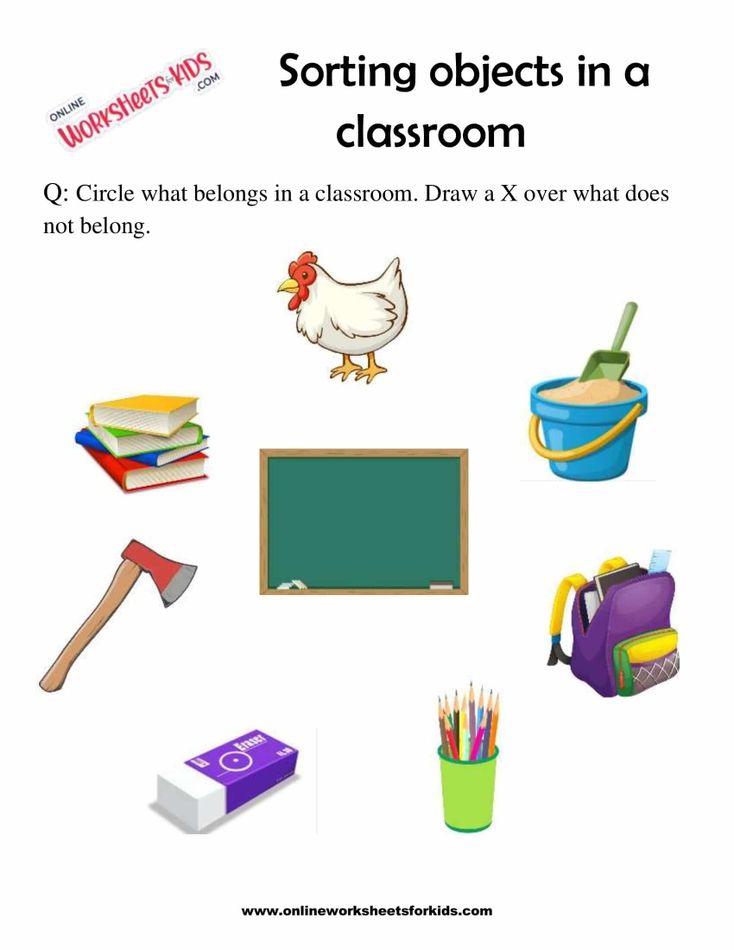 Sort The Objects 5