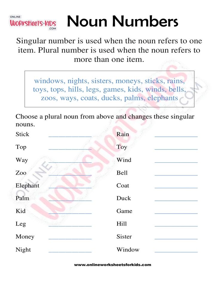 Noun Numbers 07